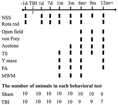 Moderate traumatic brain injury triggers long-term risks for the development of peripheral pain sensitivity and depressive-like behavior in mice